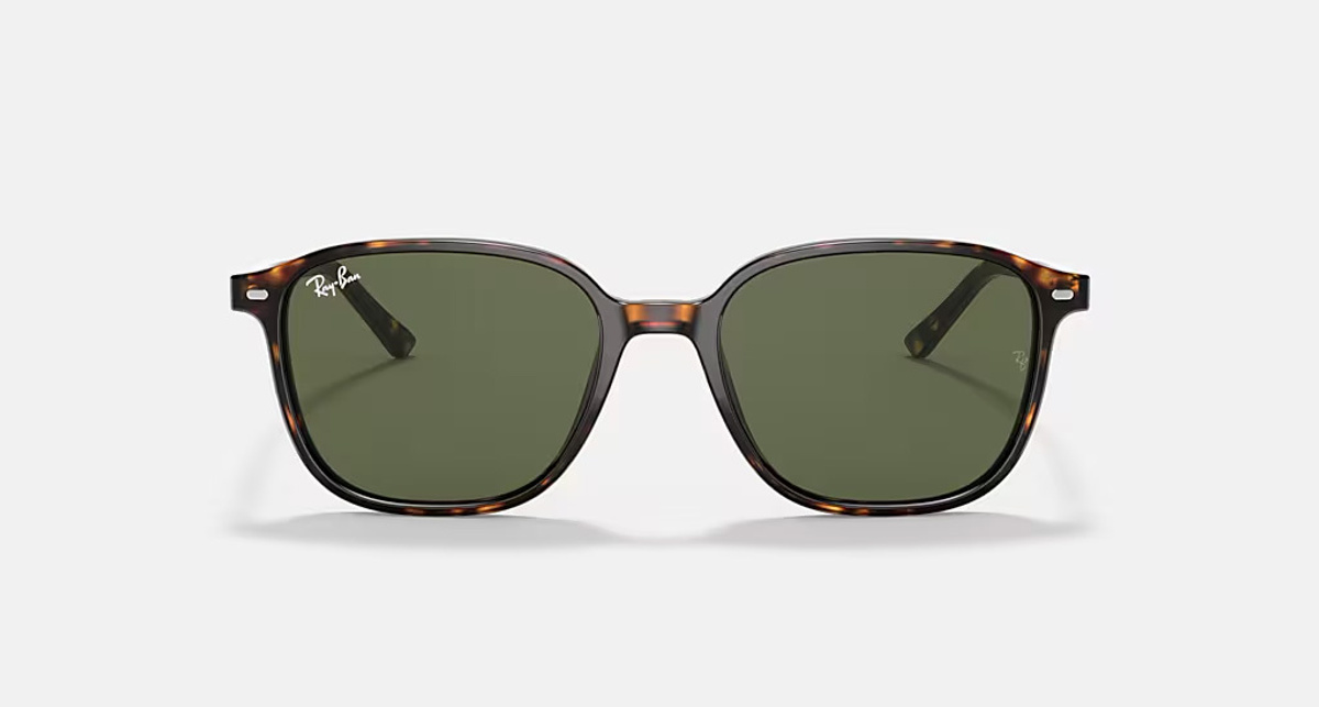 RAY-BAN LEONARD RB2193 902/31
