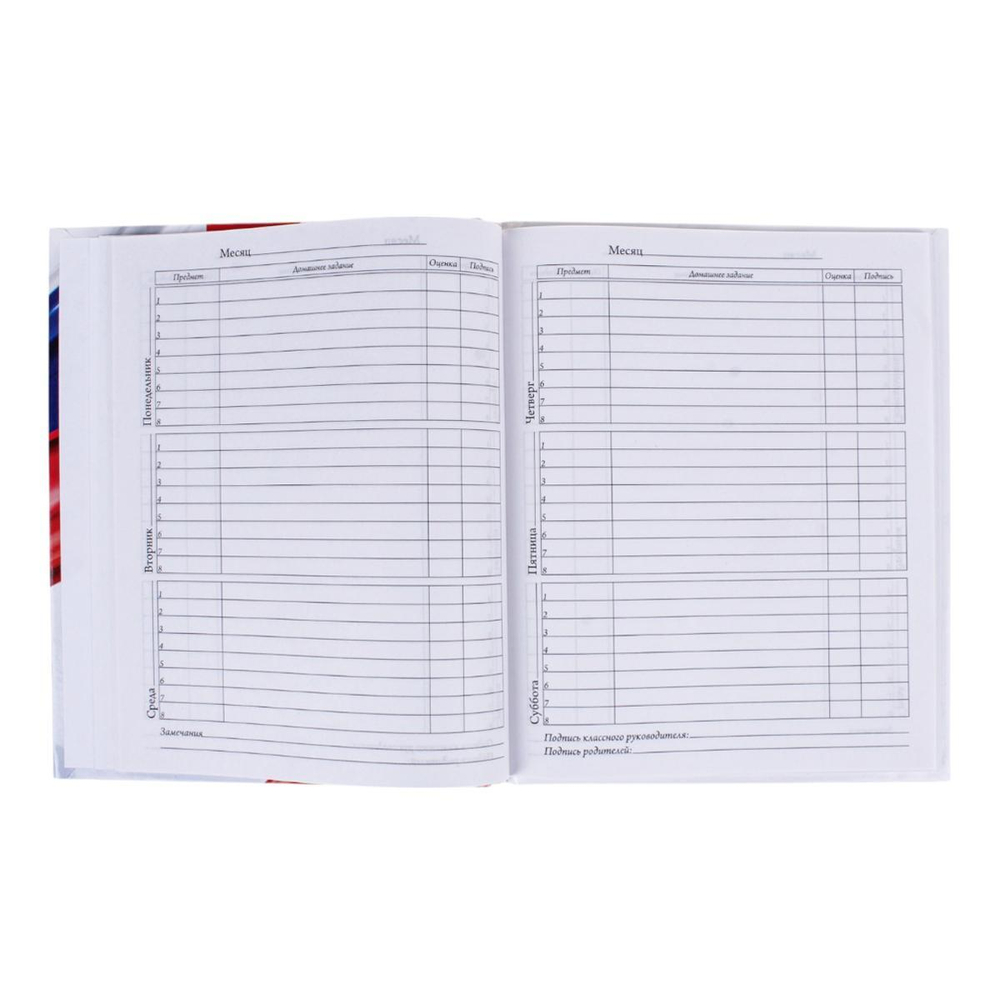 Дневник школьный А5, 40 листов "Россия - Родина моя" 1-11 класс, твердый переплет