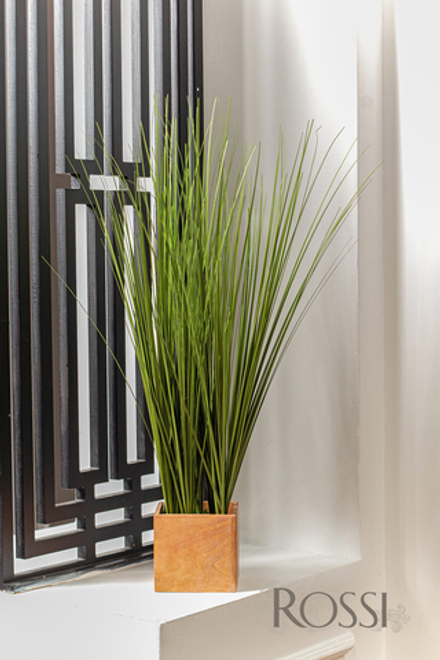 Трава осока в светлом кашпо