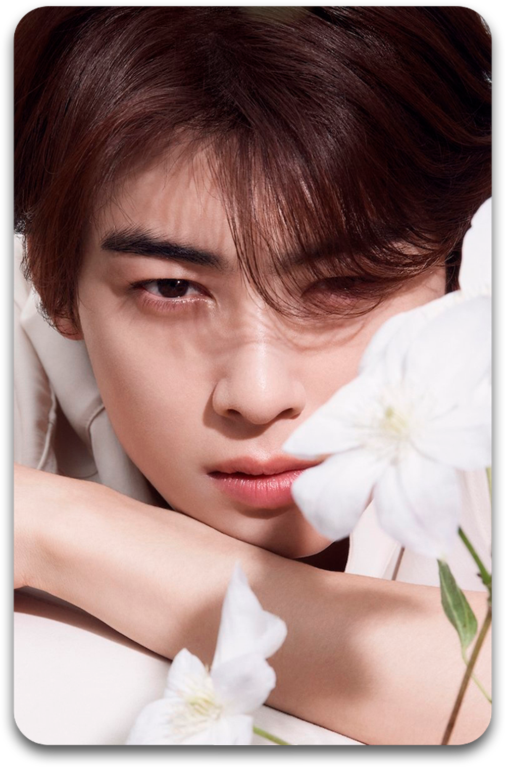 Карта #2529 / Eunwoo (Astro)