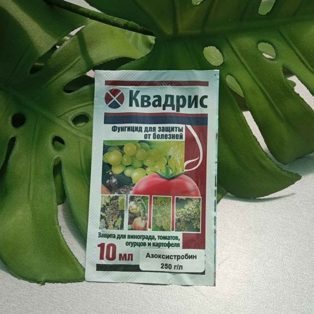 квадрис