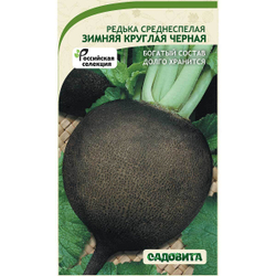 Редька черная