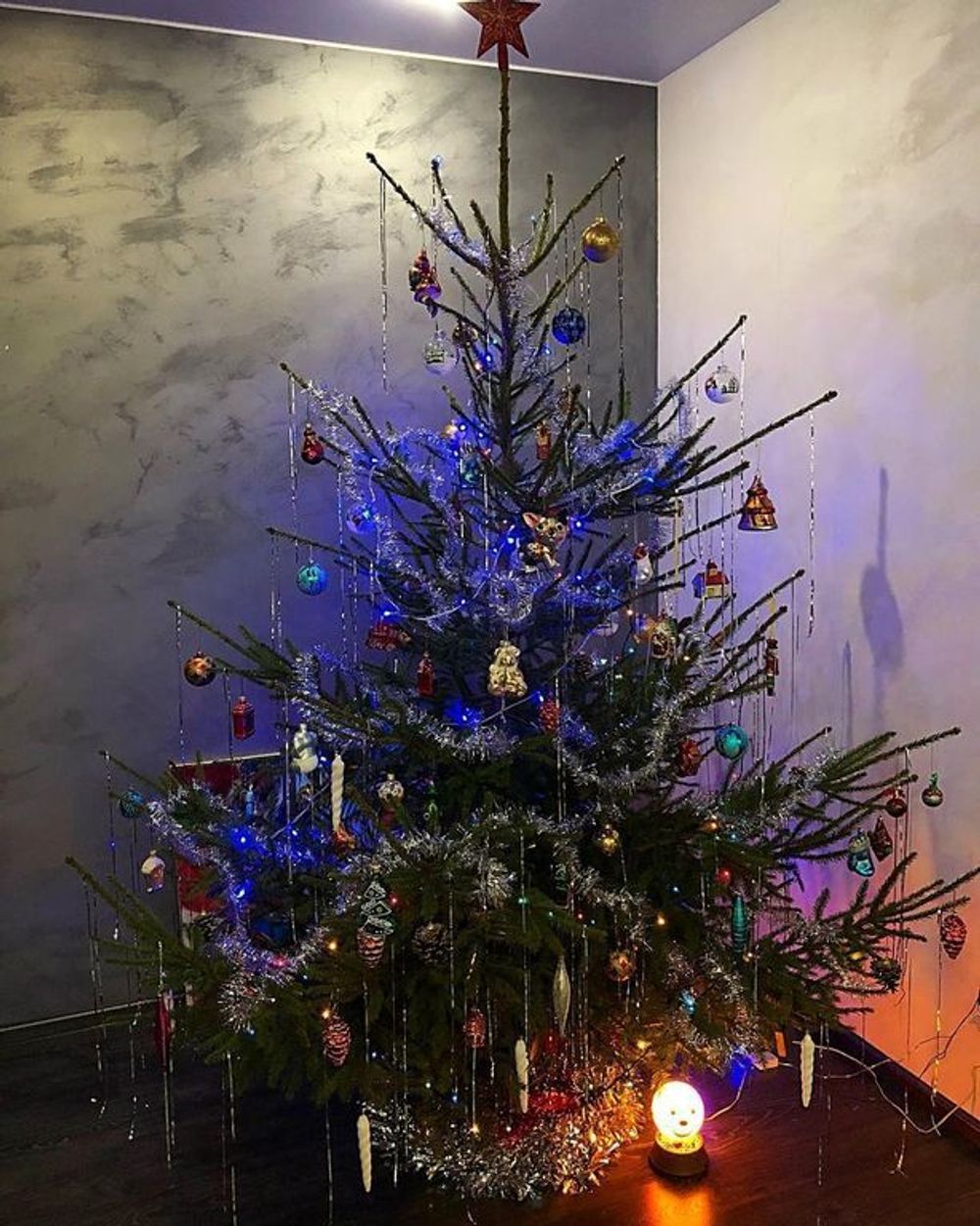 Живая елка русская