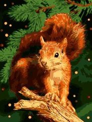 Nömrələr ilə rəngləmə Lori Ркн/ф-159