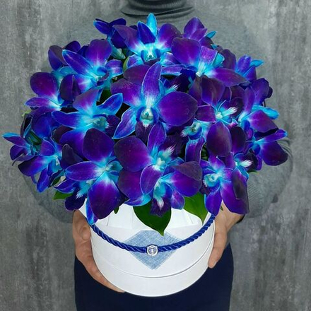 Букет из 65 орхидей «‎Ты-космос!»