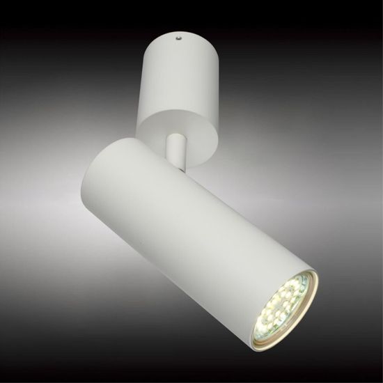 Светильник настенно-потолочный APL.007.02.01