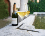 Бокал для  шампанского Champagne Wine Glass 460 мл Sommeliers Superleggero Riedel