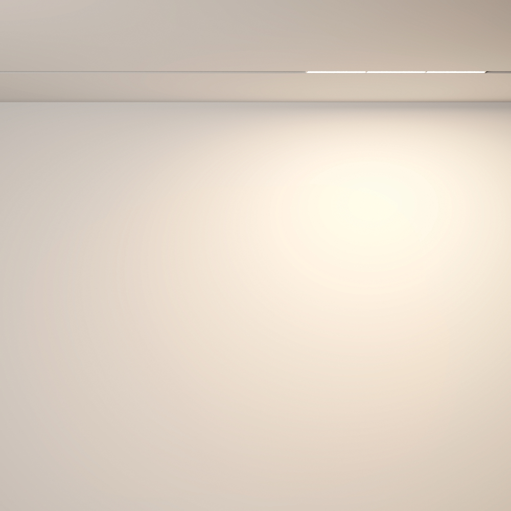 Магнитный трековый светильник Maytoni Parete TR106-2-18W3K-W