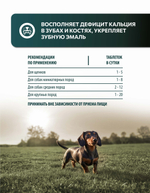 Vita+ мультивитаминное лакомство для собак Для зубов и костей, 90 таблеток