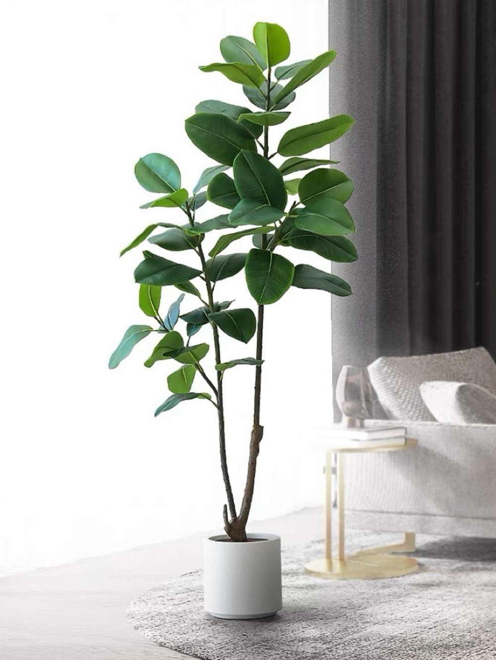 Фикус эластика зеленый 170 см.