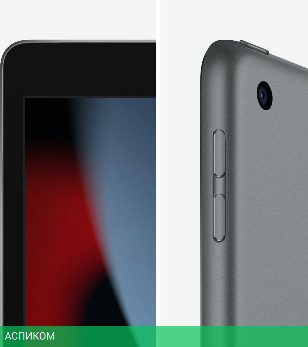 Планшет Apple iPad 10.2 9th Gen 256GB Wi-Fi Space Grey A2602 (MK2N3LL/A)