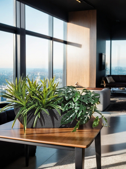 Искусственные зеленые растения 65см в длинном кашпо Лофт