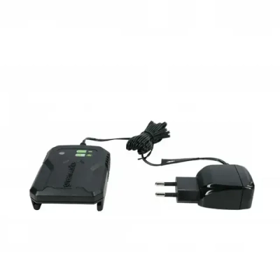 Зарядное устройство Greenworks G24UC2 2946207