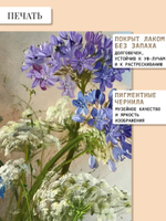 Картина на стену интерьерная на холсте 37*27 см