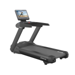 Профессиональная беговая дорожка SHUA SH-T8919T (15,6" экран)