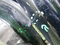 DSCN8443.jpg