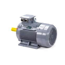 Электродвигатель ESQ PR 160 M6 GST-Б1-S12-IE2 15/1000 IM1001