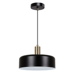 Подвесной светильник Arte Lamp SKAT A7052SP-1BK