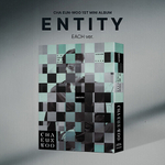 Альбом CHA EUN WOO - 1ST MINI ALBUM ENTITY
