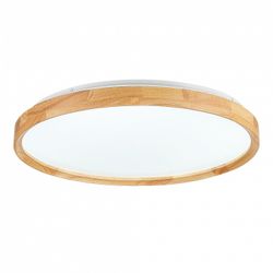 Накладной светильник EVOLUCE DELIA SLE201382-01