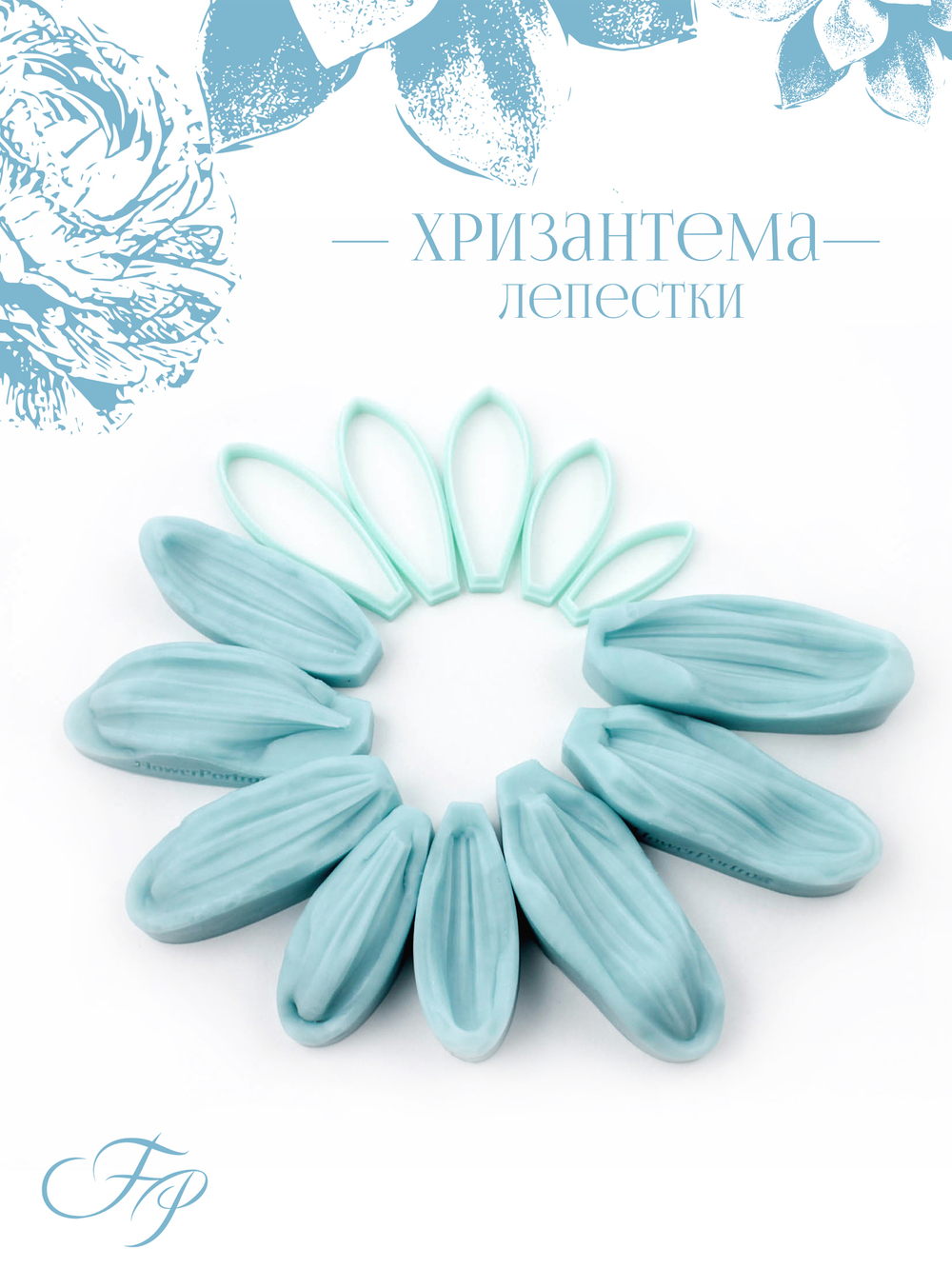 Хризантема лепестки
