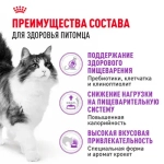 ROYAL CANIN (Роял Канин) Sensible Корм сухой сбалансированный для взрослых кошек с чувствительной пищеварительной системой, 1,2 кг