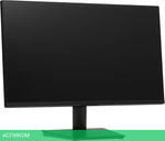 Монитор DEXP DF24N1 черный