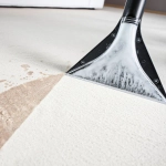 Karcher SE 4001 Plus Limited Edition моющий пылесос 1.081-138.0