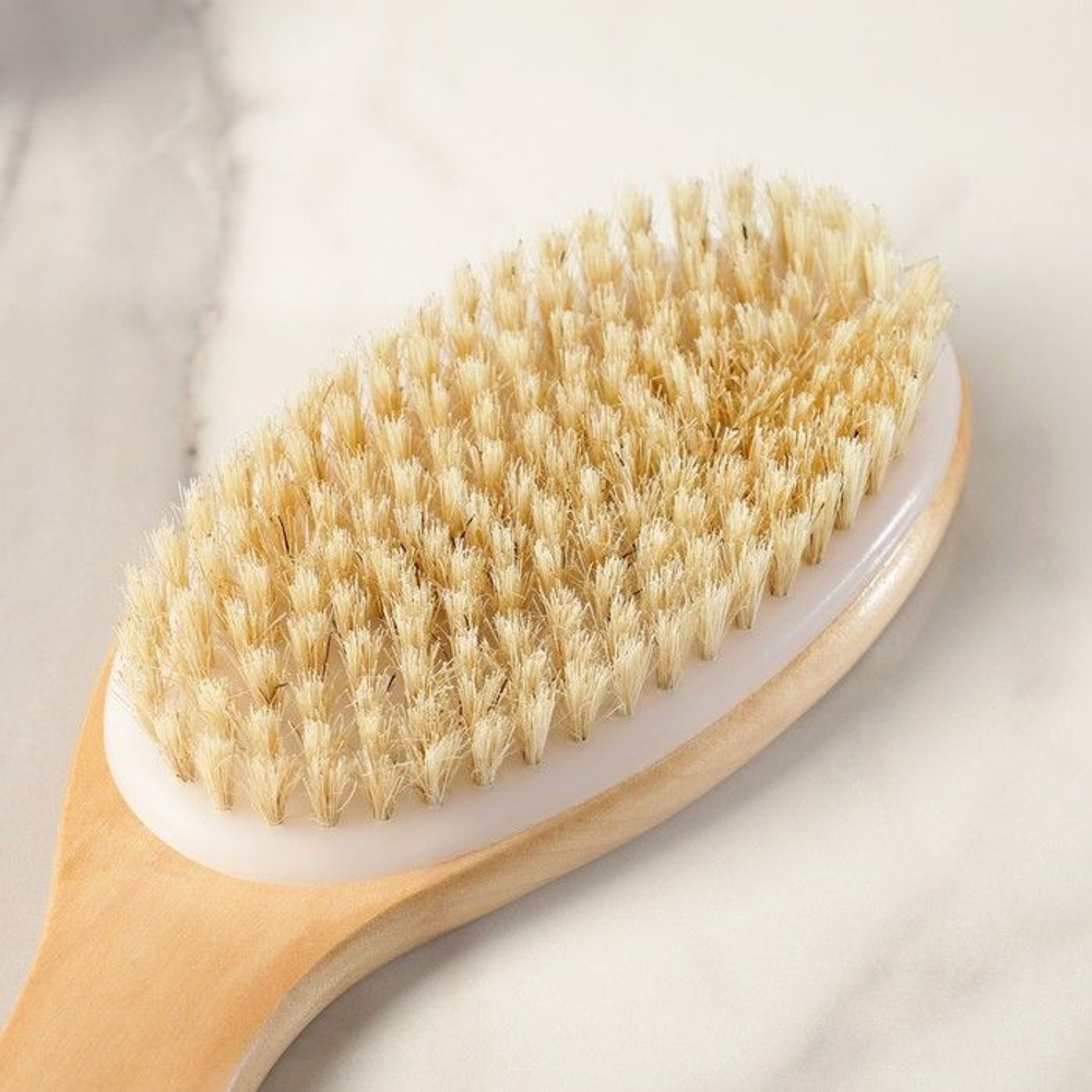 Банная щётка из натуральной щетины с ручкой (Цвет: не задано)