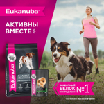 Eukanuba паучи для взрослых собак с говядиной 100 г