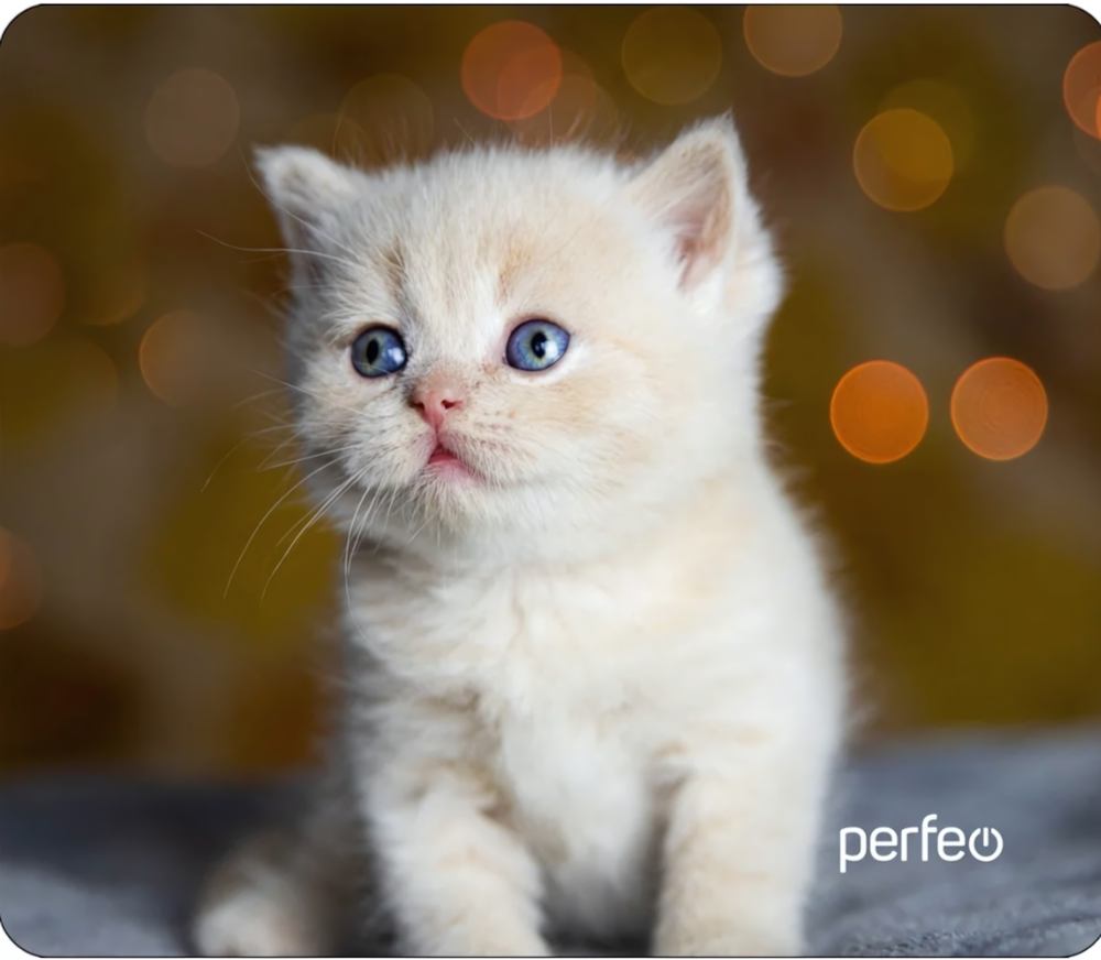 Perfeo Коврик для компьютерной мыши "Cat", Рис.17 (240*200*2 мм), ткань+резиновое основание