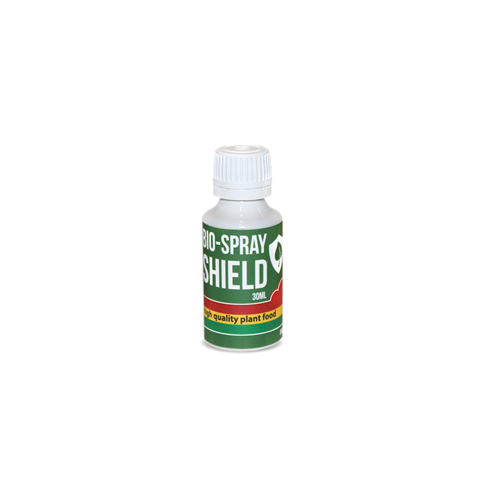 Rastea Bio-Spray Shield 30 мл Стимулятор иммунной системы