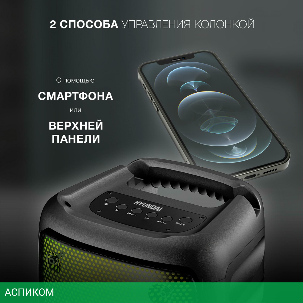 Портативная колонка Hyundai H-PS1006 черный