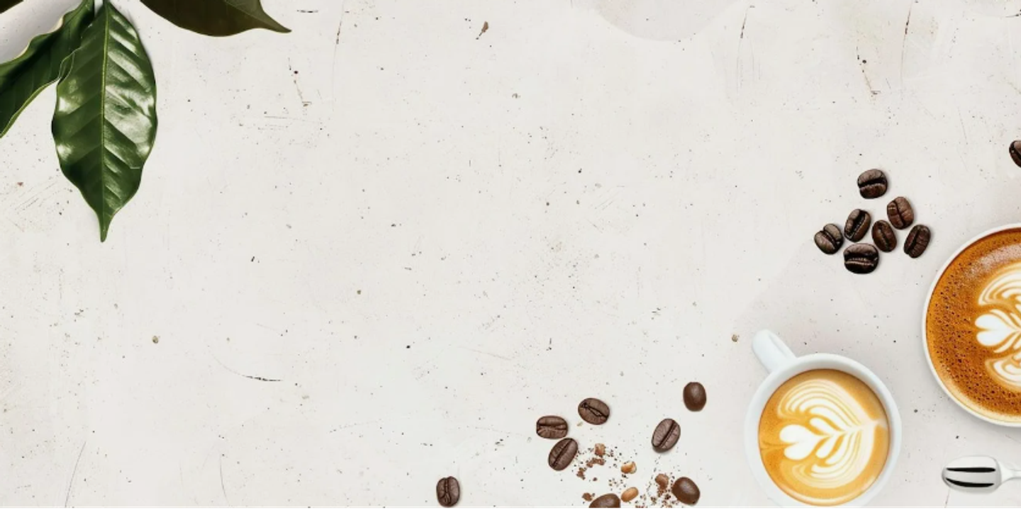 Наши контакты