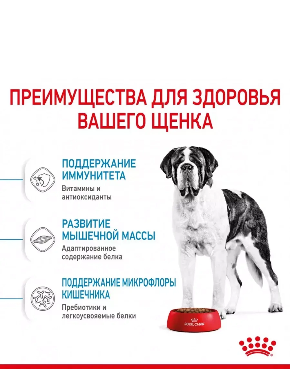 ROYAL CANIN Giant Junior (Роял Канин Джайнт юниор) корм сухой для собак Giant Junior 17 кг.