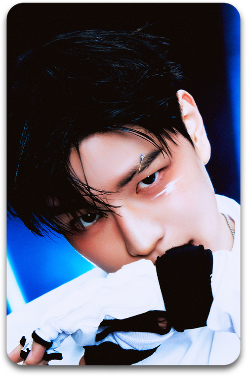 Карта / STRAY KIDS #4270