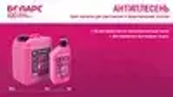 Грунтовка Антиплесень 1 кг от плесени и грибка