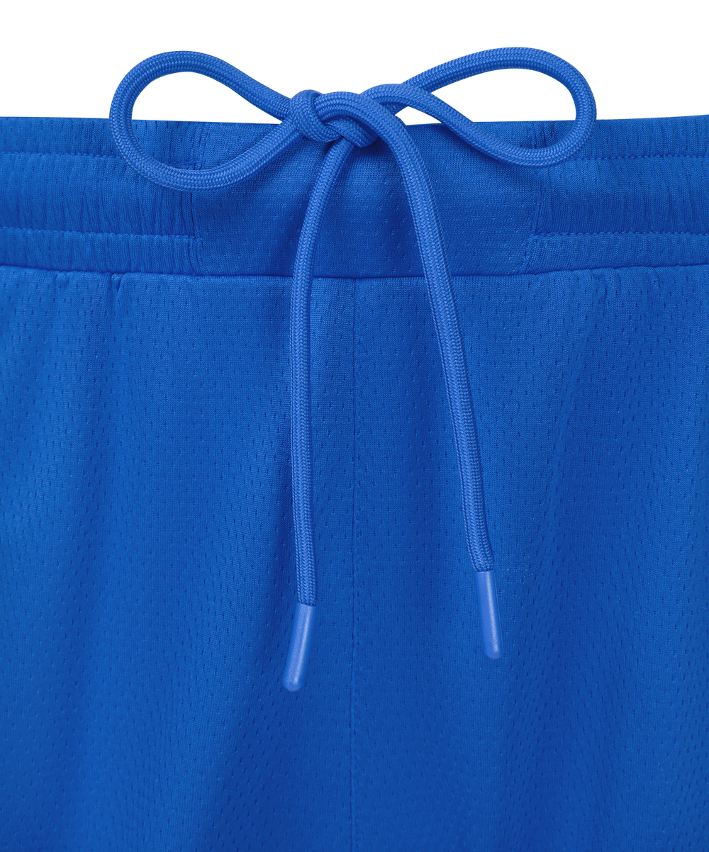 Шорты баскетбольные JÖGEL DIVISION PerFormDRY Shorts Z2, синий