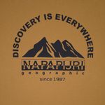  Футболка мужская Napapijri S-Freestyle Short Sleeve T-Shirt артикул:NA4HFSN97 - купить в магазине Дайс