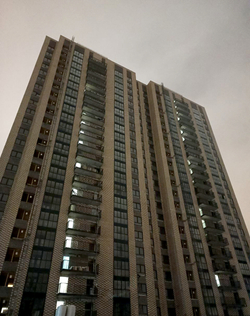 Дмитровское 91