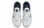 Кроссовки Nike Zoom Court Nxt Hc