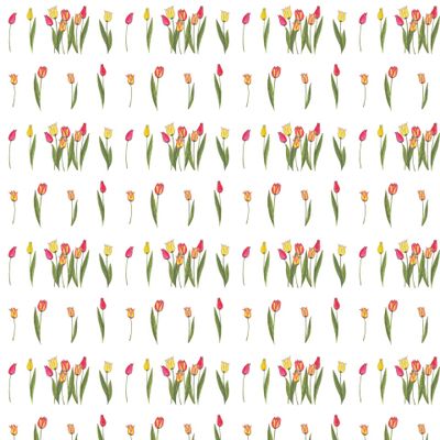 Watercolor seamless pattern with tulip illustrations. красные, желтые и оранжевые тюльпаны бесшовный паттерн.