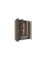 Шкаф распашной 160х50х210 с ящиками Birmingham 11