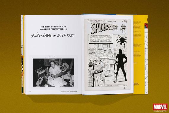 Marvel Comics Library. Spider-Man. 1962–1964