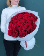 Роза красная Эксплорер,25 штук(00077)