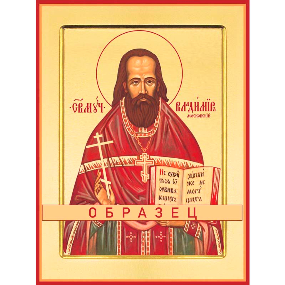 Священномученик Владимир Амбарцумов Мч-149 (сщмч/В/3/4)