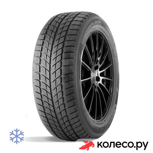 Winterking DW09 215/45 R17 91H