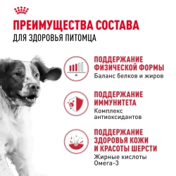 Royal canin medium adult сухой корм для взрослых собак средних пород от 12 месяцев до 7 лет, со свининой - 3 кг