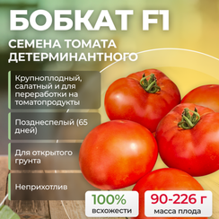 БОБКАТ F1 семена томата (Syngenta | Alexagro)