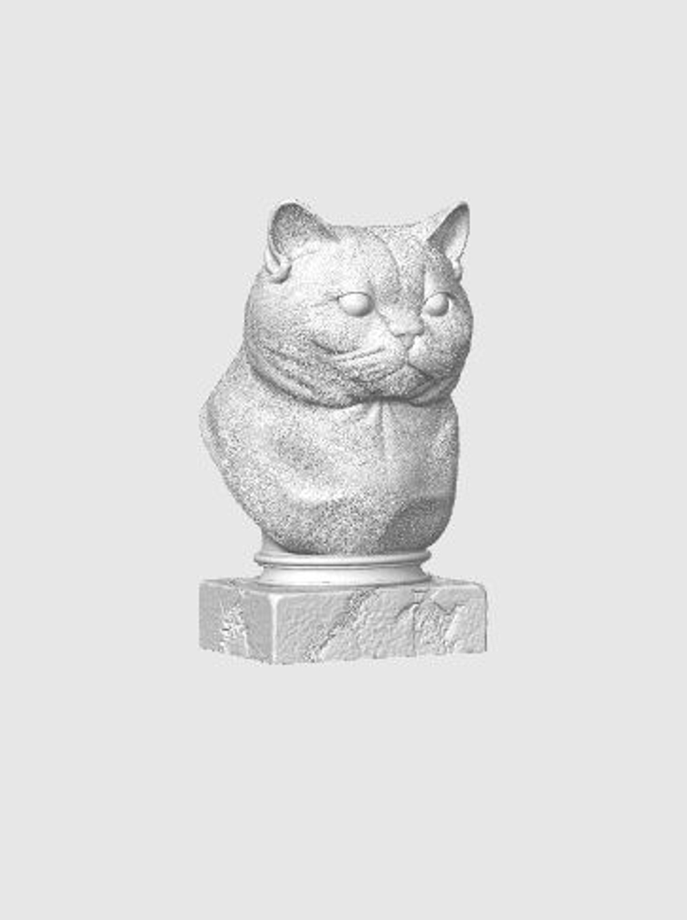 Британская Короткошерстная Кошка